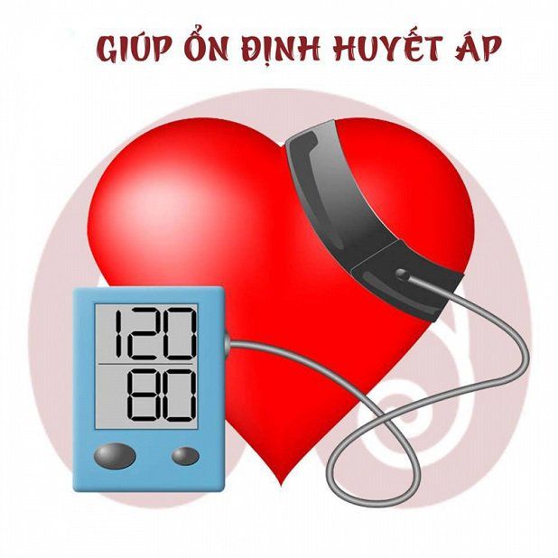 Sử dụng nước lá vối điều độ sau bữa ăn giúp hỗ trợ ổn định huyết áp hiệu quả