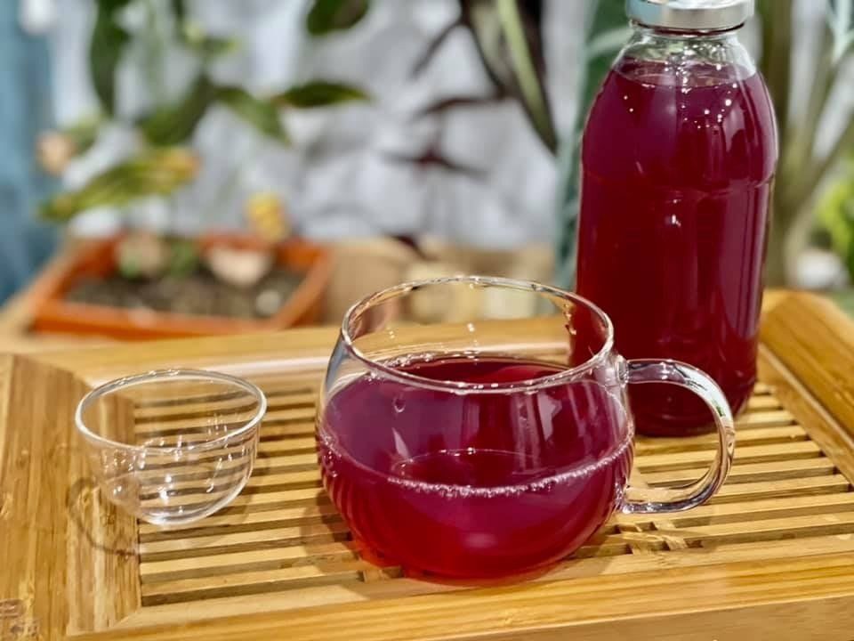 Uống nước lá tía tô có trị nám được không? Uống nước lá tía tô có trị nám được không?