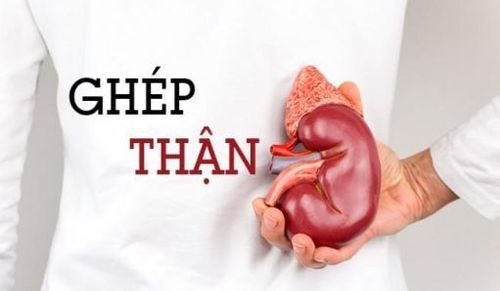 Những điều cần biết về hiến mô, tạng: ý nghĩa nhân văn và quy trình đăng ký tại Việt Nam 
