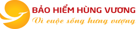 Công ty Cổ phần Bảo hiểm Hùng Vương (BHV)