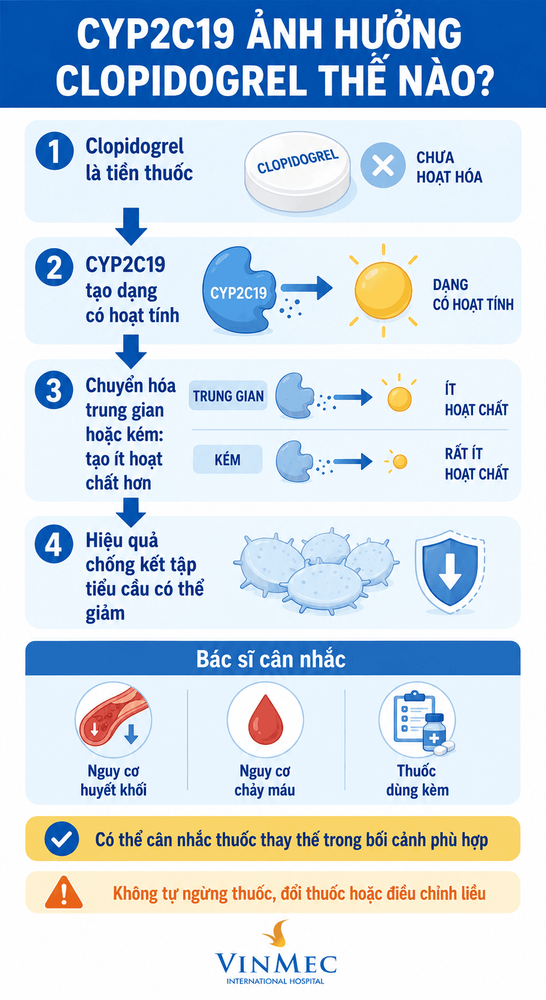 CYP2C19 và clopidogrel: Gen có thể ảnh hưởng hiệu quả chống kết tập tiểu cầu
