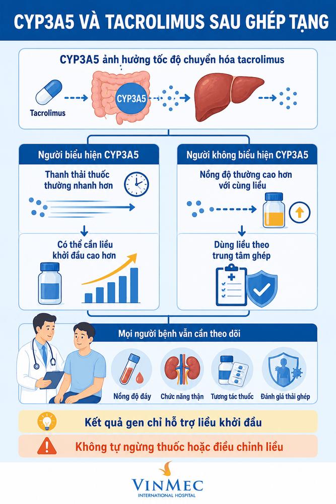 CYP3A5 và tacrolimus: Ứng dụng dược di truyền sau ghép tạng 