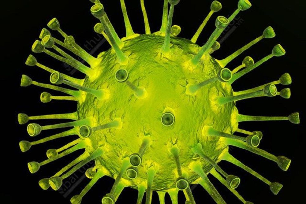 Varicella-zoster virus
