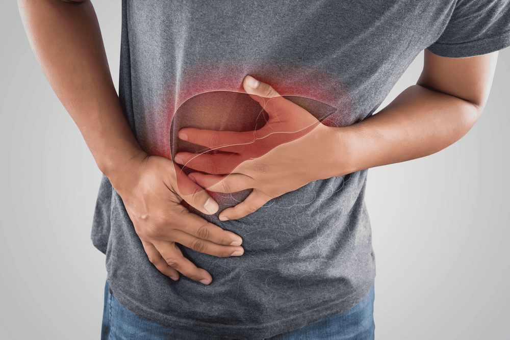 Increased liver enzymes in dengue fever can directly damage liver cells