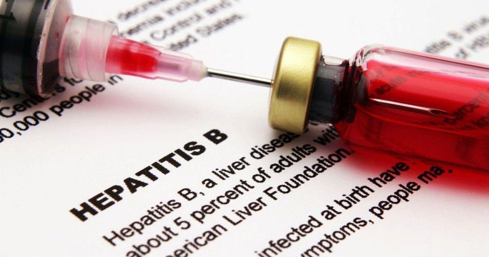  The cost of the HBsAG test is lower than that of the anti-HBc test