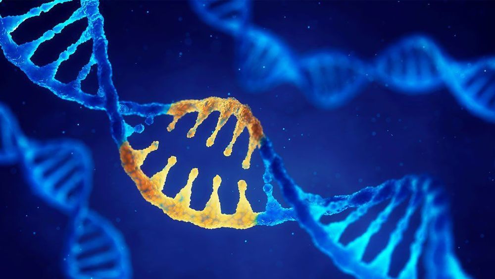 Genetics play a significant role in determining whether a person develop stretch marks

