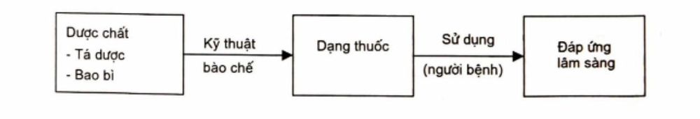 Why Does a Single Drug Have Multiple Dosage Forms?