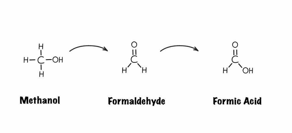 Quá trình chuyển hóa methanol