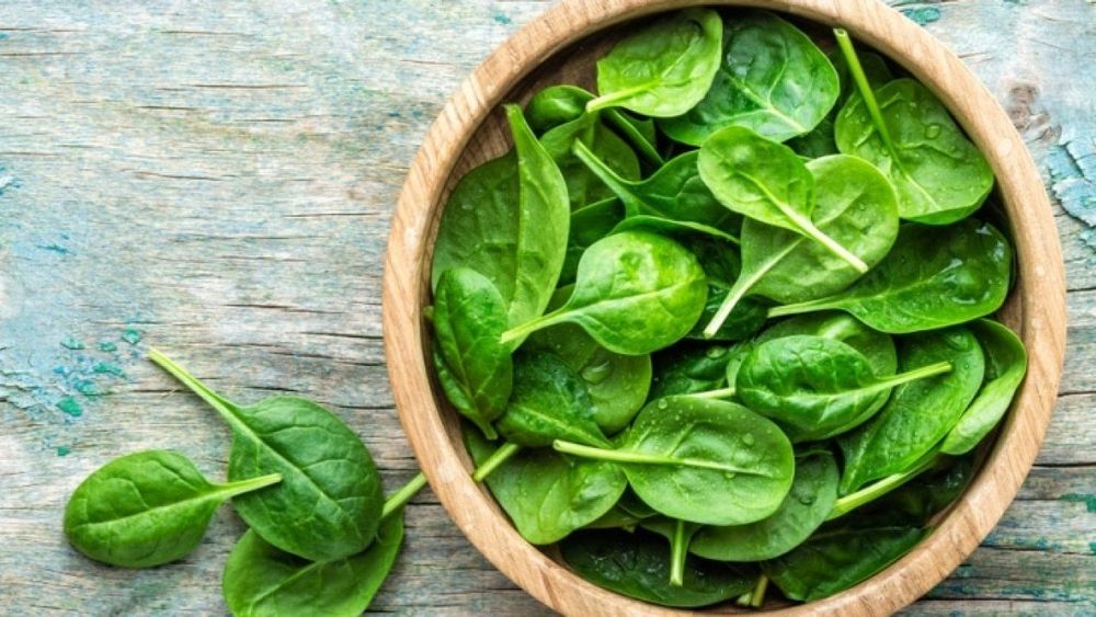 Chiết xuất từ rau bina là giúp bạn loại bỏ cảm giác thèm ăn trong vài giờ