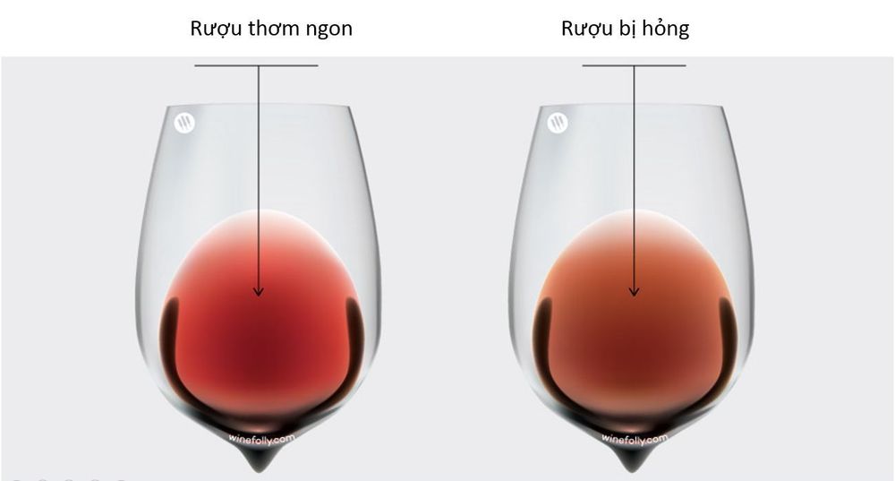 How long can wine be stored?