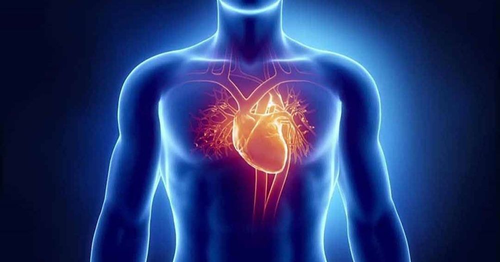 Bệnh nhân mắc bệnh tim mạch cần lưu ý khi sử dụng thuốc