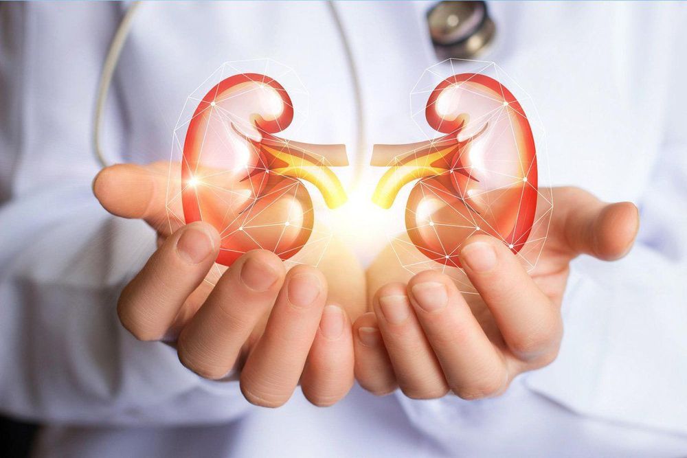 Một chế độ ăn uống thân thiện với thận cũng có thể giúp bảo vệ thận của bạn khỏi bị tổn thương thêm