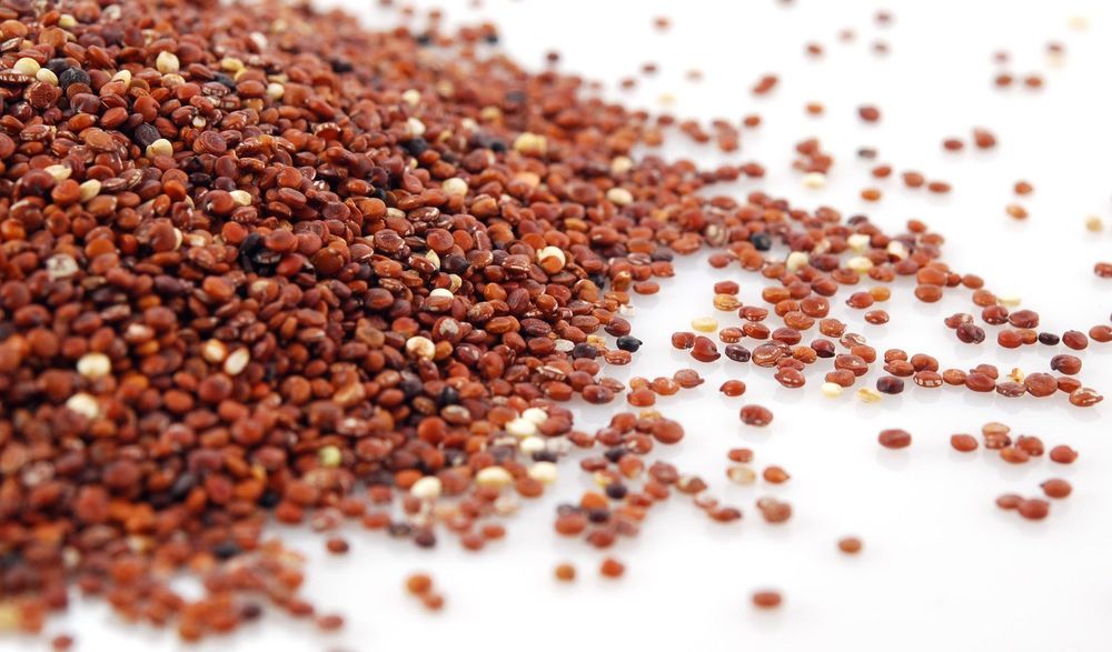 Red Quinoa is a grain with high nutritional content