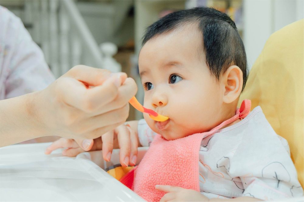 The nutrition regimen determines the weight status of an 8-month-old baby girl.