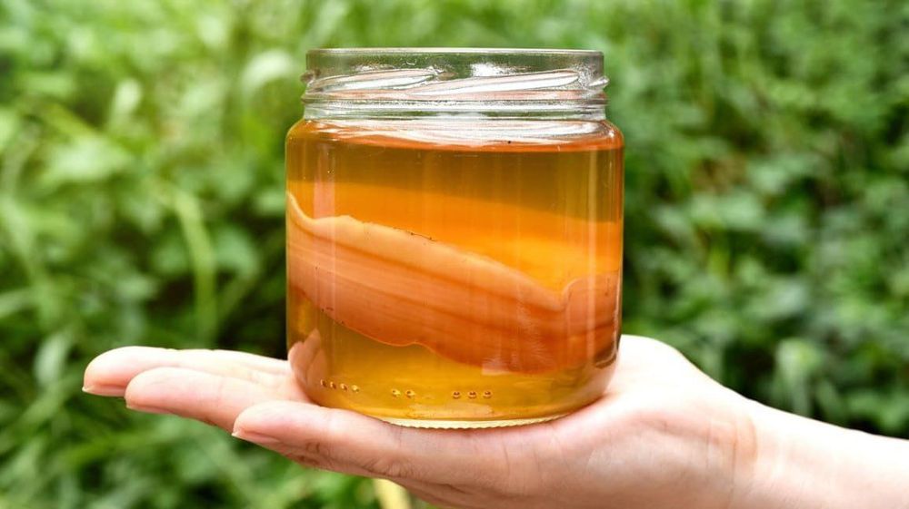 Uống gì khi bị đầy bụng? Người bệnh có thể tham khảo Kombucha