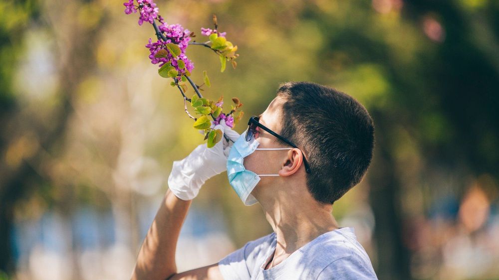 Mất khứu giác khi bị cảm có thể gặp ở một số người bệnh