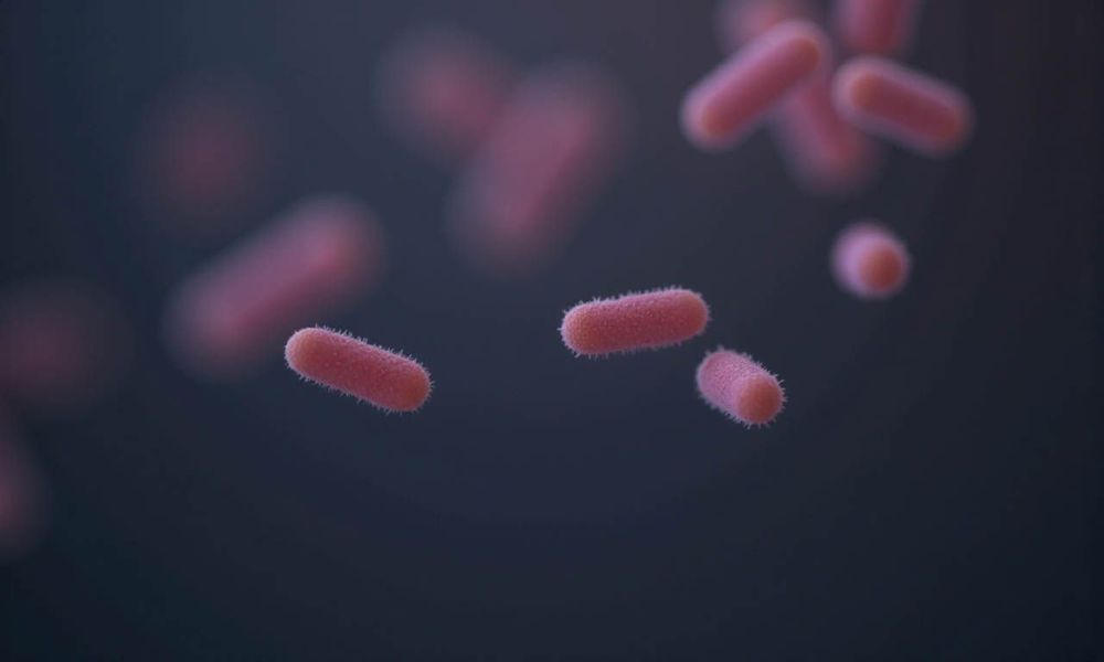 Bệnh tiểu đường không phải là bệnh truyền nhiễm, vì không do vi khuẩn, virus hay nấm gây ra.