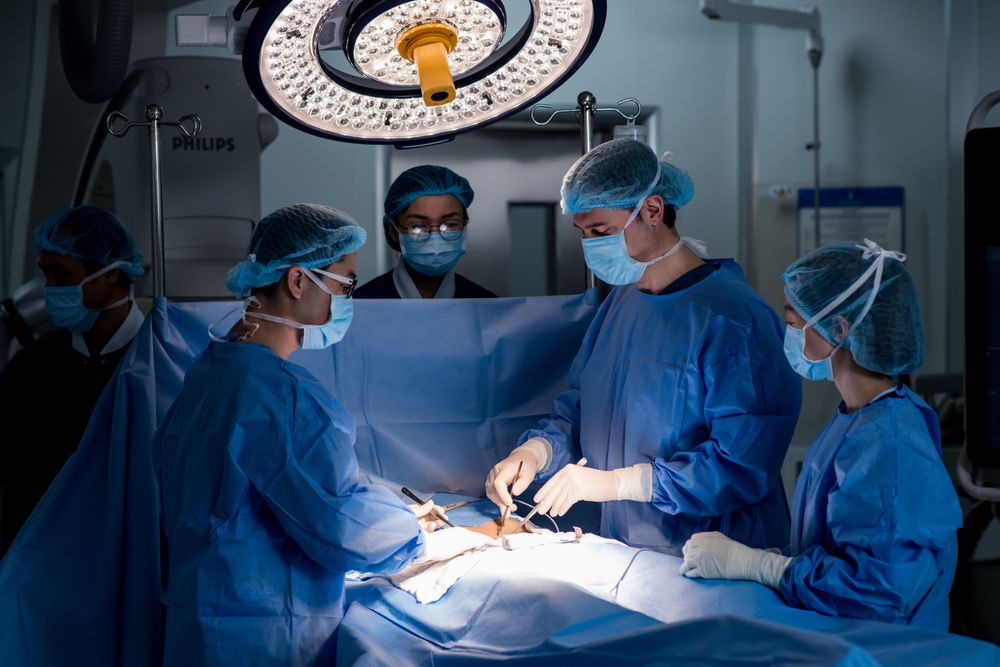 Các bác sĩ thường thiết lập chế độ dinh dưỡng riêng biệt cho bệnh nhân sau phẫu thuật, nhằm đẩy nhanh quá trình phục hồi và tăng cường sức đề kháng của cơ thể.