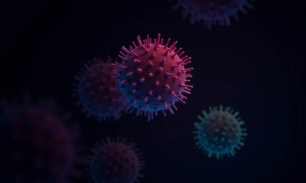 Miễn dịch cộng đồng giúp giảm tình trạng lây nhiễm của virus.