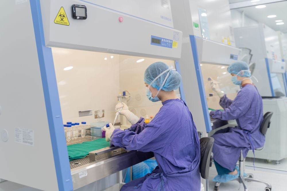 Tế bào gốc tiết lộ manh mối mới về lão hóa giúp làm sáng tỏ về cơ chế lão hóa từ đó mở ra triển vọng phát triển các loại thuốc nhằm duy trì sự cân bằng protein trong tế bào gốc.