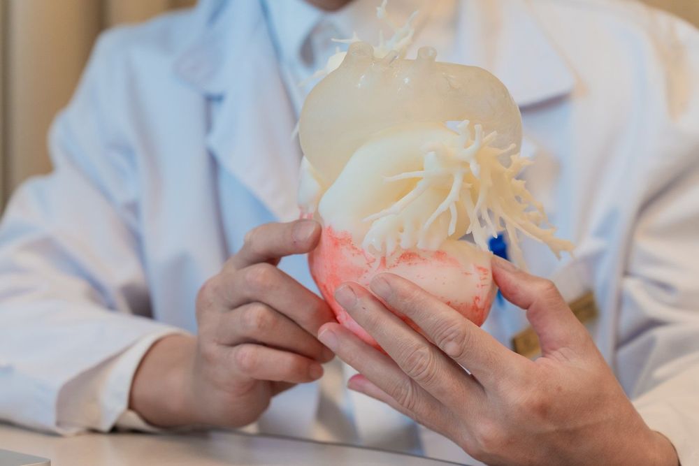 Mô hình in 3D mô phỏng van động mạch chủ bệnh nhân trước can thiệp