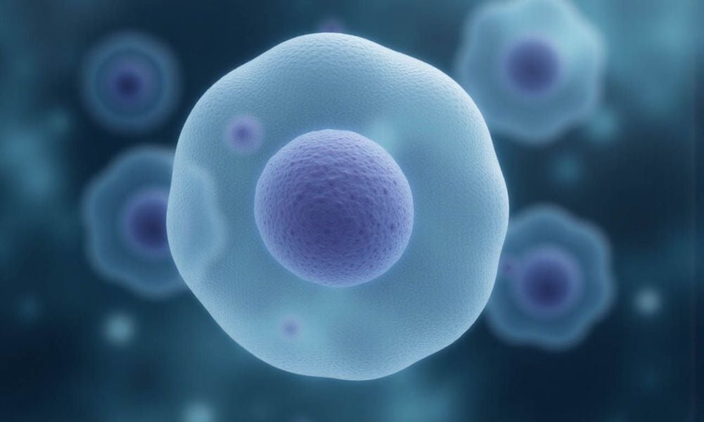 Tế bào gốc có khả năng tự nhân đôi và phân chia để tạo ra các tế bào mới.