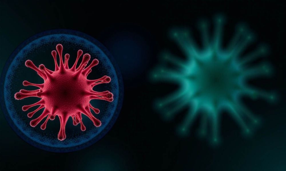 Có hàng trăm loại HPV khác nhau nhưng một số loại có thể gây ra các vấn đề sức khỏe nghiêm trọng, đặc biệt là ở vùng sinh dục.