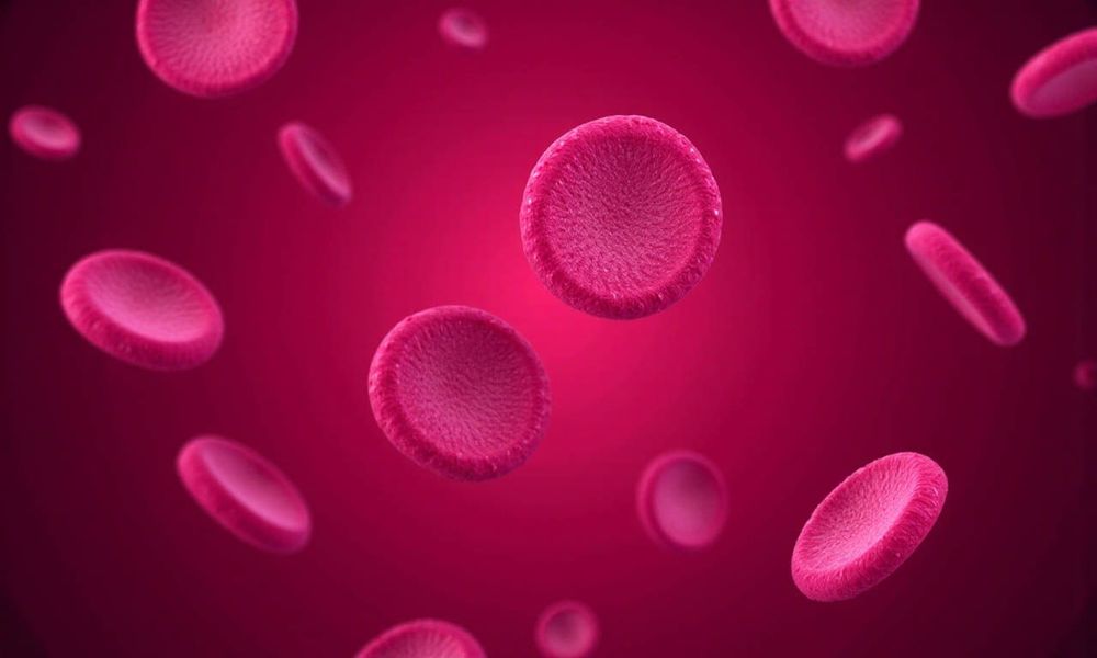 Thalassemia là một bệnh di truyền máu mãn tính, dẫn đến nhiều triệu chứng như mệt mỏi, da xanh xao, khó thở