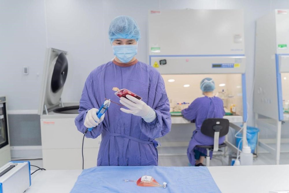 Quy trình thu thập tế bào gốc từ máu cuống rốn đơn giản, ít xâm lấn và gây ít tác dụng phụ hơn so với các phương pháp khác