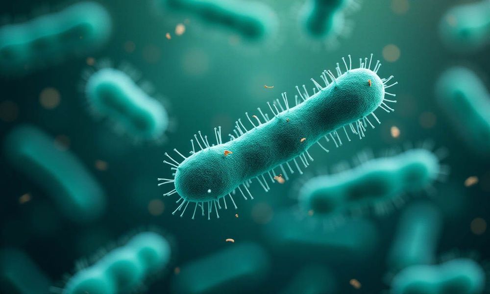 Vi khuẩn, nấm candida là các nguyên nhân phổ biến gây viêm âm đạo.