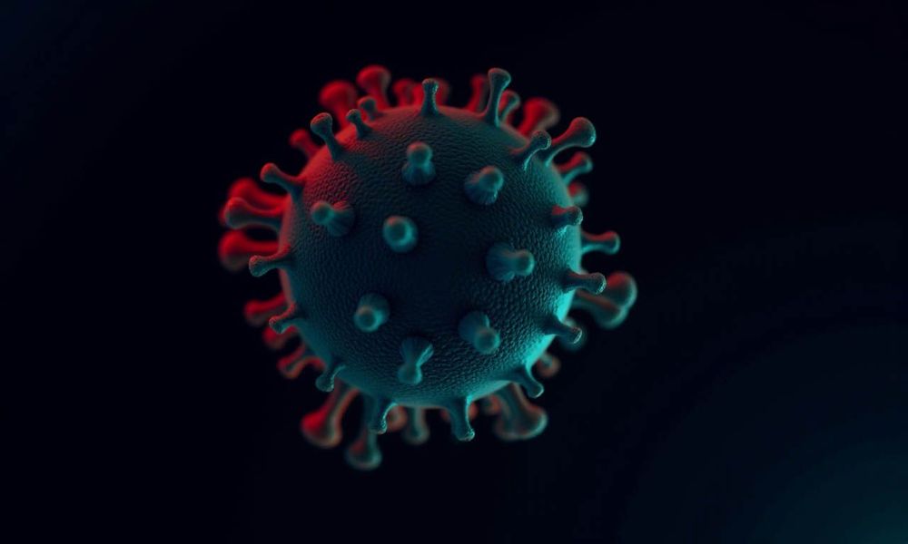 HPV có hơn 200 loại, trong đó có khoảng 40 loại lây truyền qua đường tình dục và có thể gây bệnh ở vùng sinh dục, hậu môn và miệng họng.