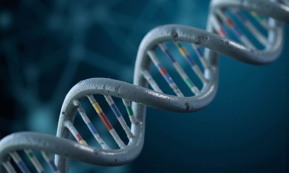 Ý nghĩa của gen MTHFR trong thai kỳ là mã hóa enzyme tham gia vào quá trình chuyển hóa folate trong cơ thể. 