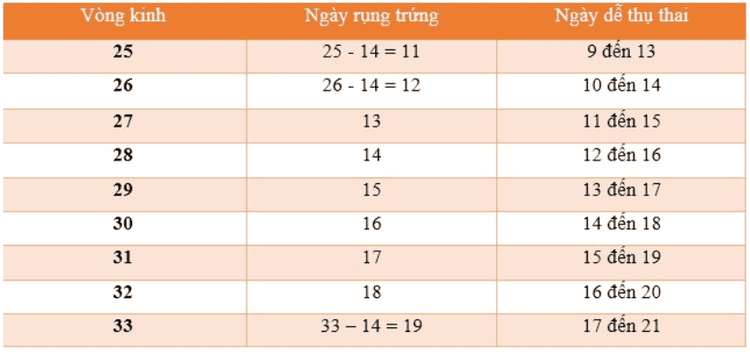 The menstrual cycle and ovulation days are closely related.
