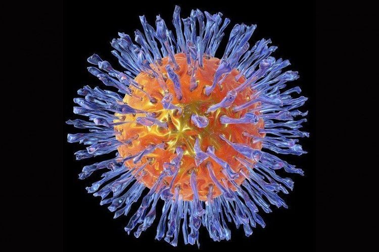 Virust Herpes