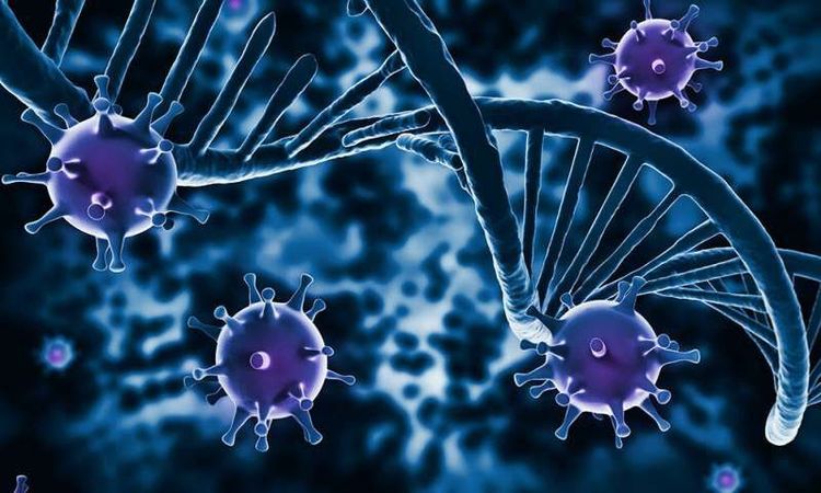 Virus gây suy giảm miễn dịch ở người