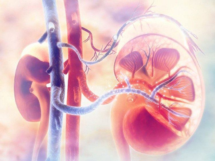 Bệnh nhân sẽ được chỉ định cắt thận nếu như chức năng thận mất hoàn toàn
