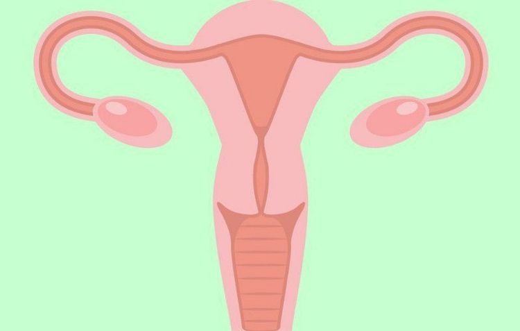 
Suy buồng trứng sớm là một trong những nguyên nhân gây vô sinh ở nữ giới
