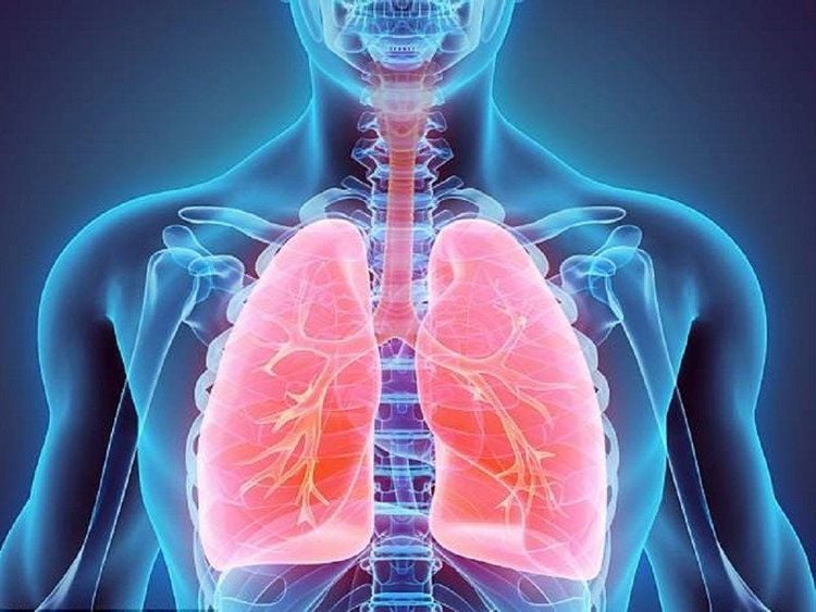 Viêm phế quản khiến người bệnh ho dai dẳng, tức ngực