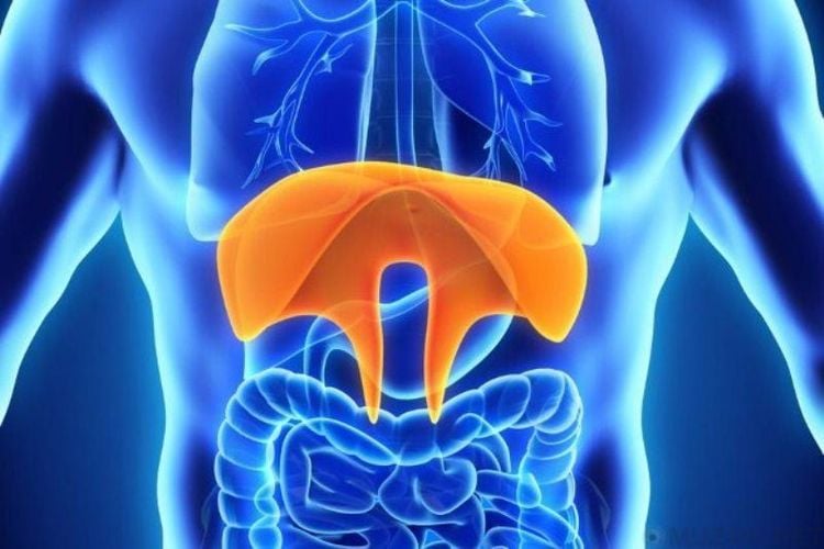 How dangerous is diaphragmatic dysfunction?