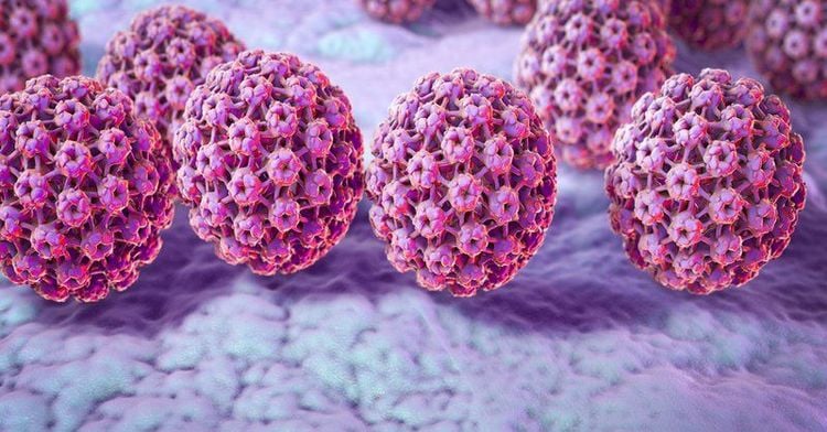 Genital warts are caused by the human papillomavirus (HPV).