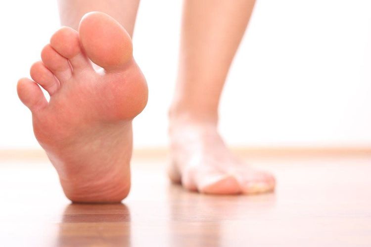 Dây thần kinh ngoại biên là những dây thần kinh giúp truyền tín hiệu từ não và tủy sống tới các cơ quan, cơ và môn trong cơ thể