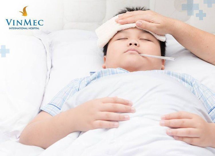 Nhấn vào ảnh để phóng to
Trẻ em, người cao tuổi, phụ nữ mang thai...là đối tượng nguy cơ mắc cúm A cao