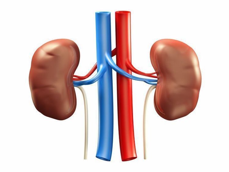 Co mạch thận là tác hại của toan máu tăng Cl- (hyperchloremic acidosis)