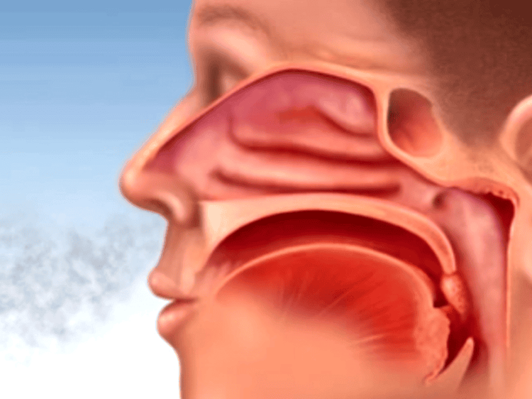 Mạch máu co lại giúp giảm triệu chứng nghẹt mũi