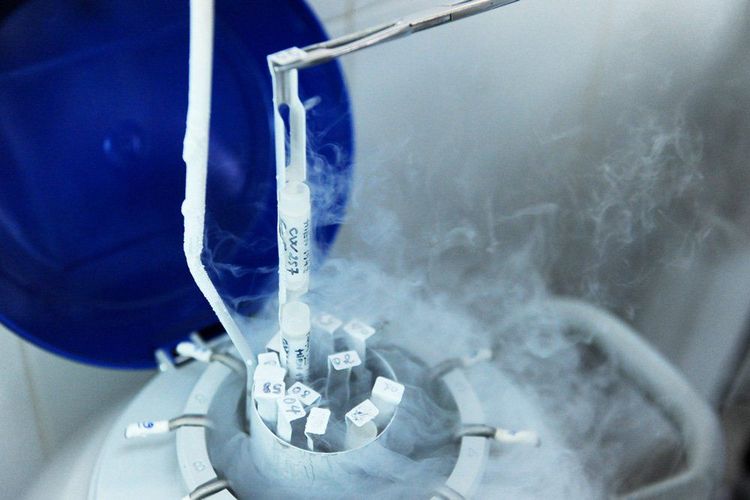 Trữ đông tinh trùng bằng phương pháp hóa hơi Nitrogen