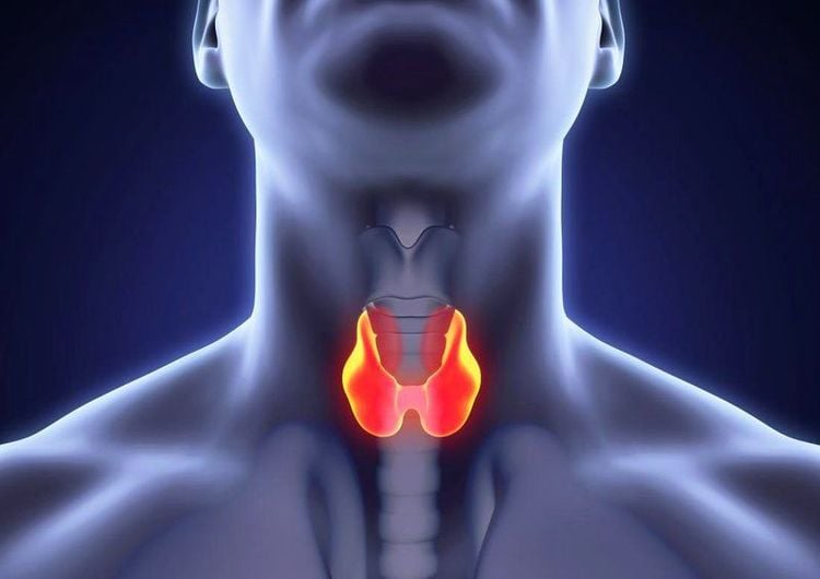 Thyroid location
