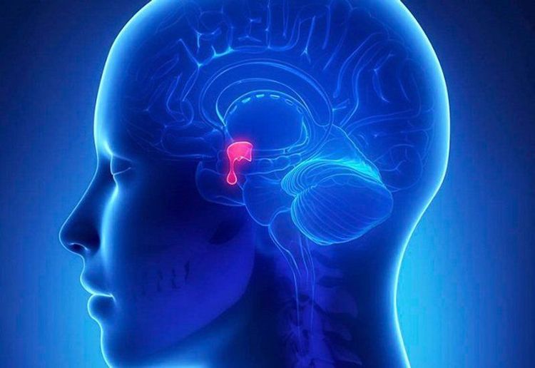 U tuyến yến phần lớn là lành tính