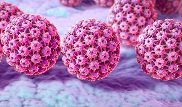 Vắc-xin không phát huy tác dụng khi người bệnh đã bị mắc virus gây u nhú
