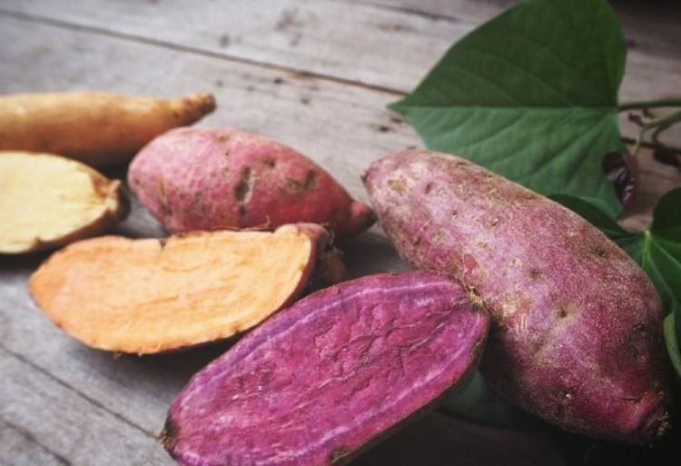 Sweet potatoes are a nutrient-dense food that provides significant health benefits.
