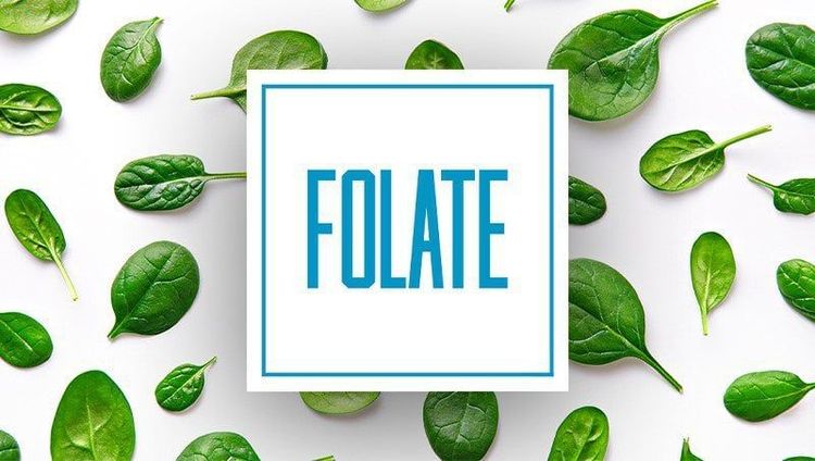 Nhấn vào ảnh để phóng to
Tiểu cầu có thể tăng nhờ việc bổ sung thực phẩm giàu folate